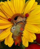 LEO Corals and Enamel Necklace